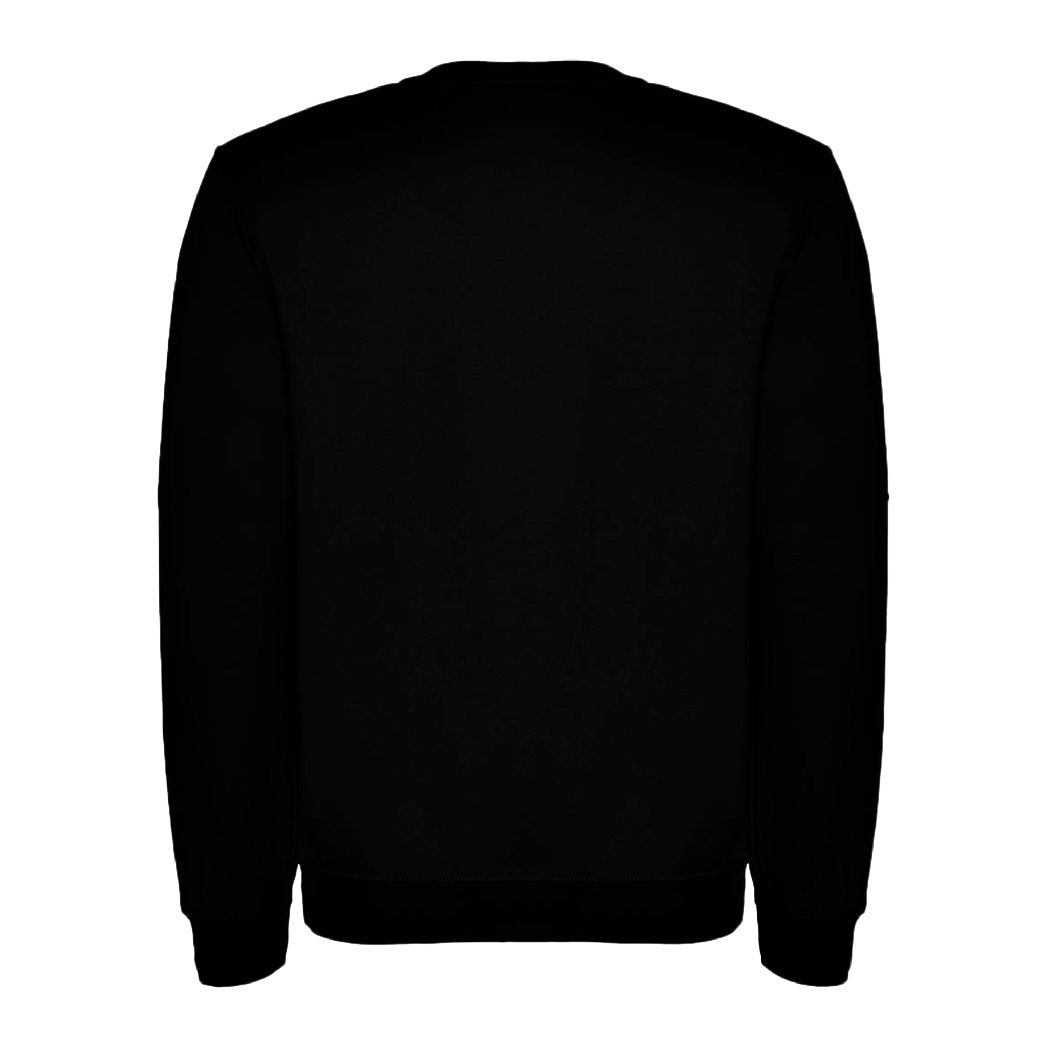 Sudadera PH4NT0M Project negra - Espalda